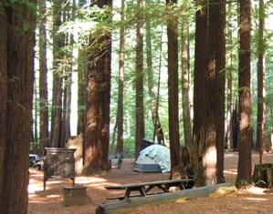 Burlington Humboldt Redwoods Interpretive Association