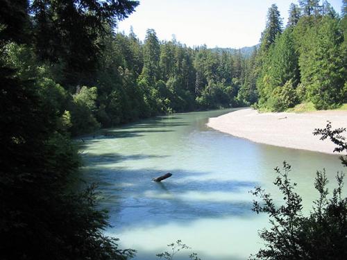 Swimming Humboldt Redwoods Interpretive Association