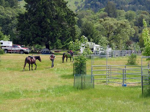 horse campground